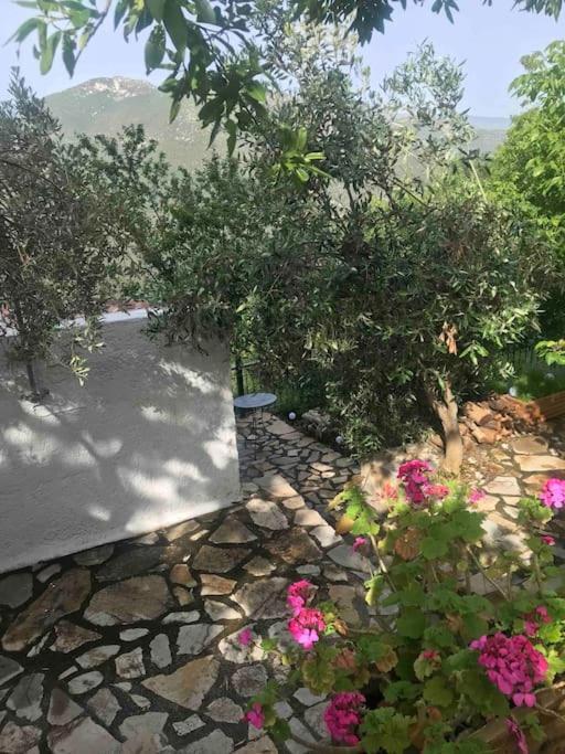 Theisoa.Old Little House In The Garden . Andritsaina.别墅 外观 照片